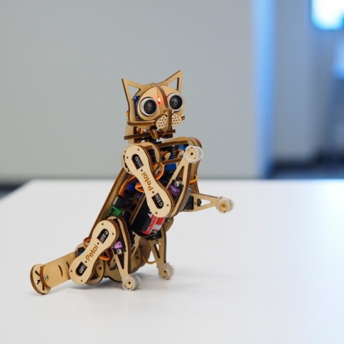 itscolossal:Build Your Own Robotic Cat with An Open Source Kit by Petoi