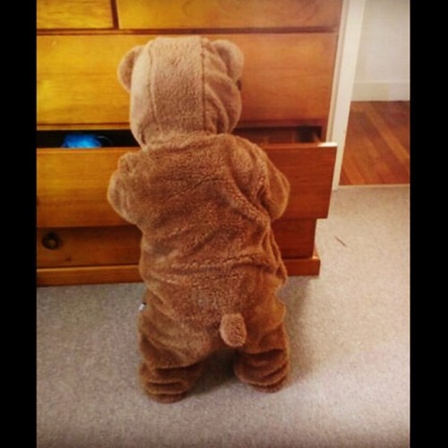 #toocute #cutest #babies #onsie #ewok #starwarsbaby #gonnaeathim