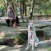 It was a beautiful summer evening for a date night hike with my girls, Astrid had