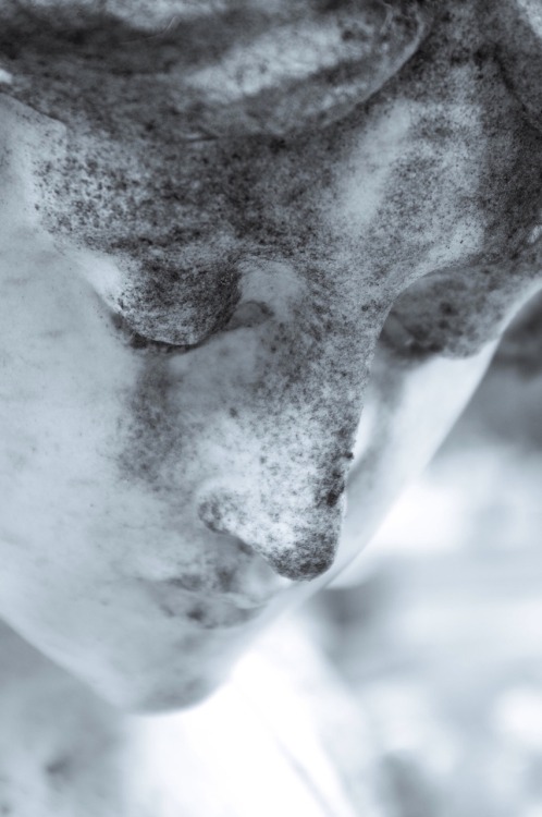 lucidphotographicarts:  Copyright 2014 David Lackey