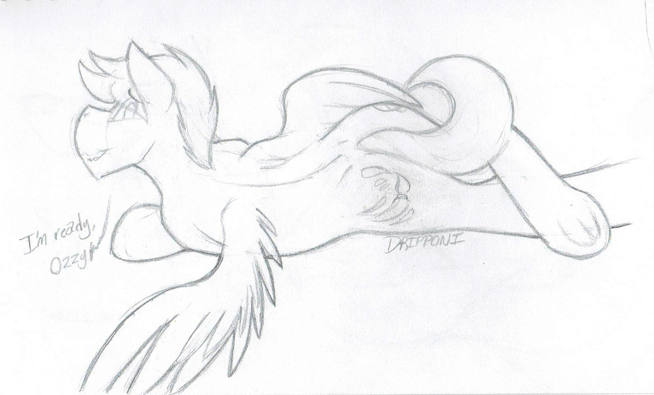 punk-pegasus: Time for the annual Pega Sketchbook Sketchdump from the Final Bronycon