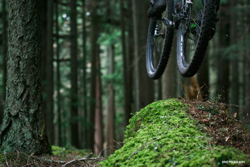 ericmickelson:  Liftoff.  Orcas Island, Washington. | ericmickelson.com