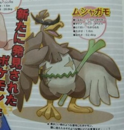 pyroluminescence:  peachywonder:  GUYS, IT’S HAPPENING  i wish.  Its possible, I mean its not that Farfetch&rsquo;d 