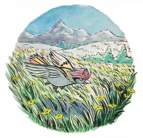 revilonilmah:#17 Pidgeotto gliding through the grassy plains.