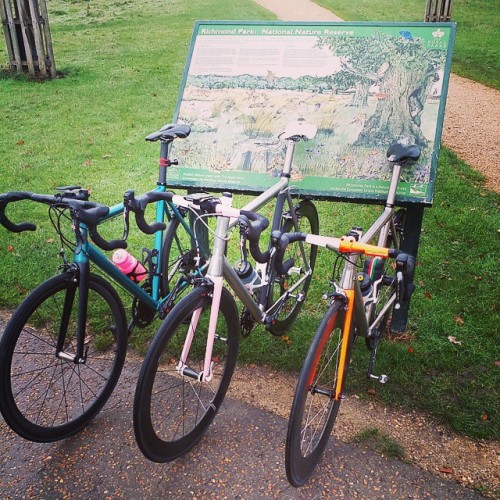 youcantbuyland:   passoni_bikes’s photo on Instagraminstagram.com  Passoni in the Park