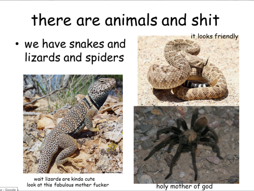 lolsofunny:  all you really need to know about arizona