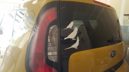 New bird means new decal! I&rsquo;ve finally added @craigthebourke to my car, and look at these chub