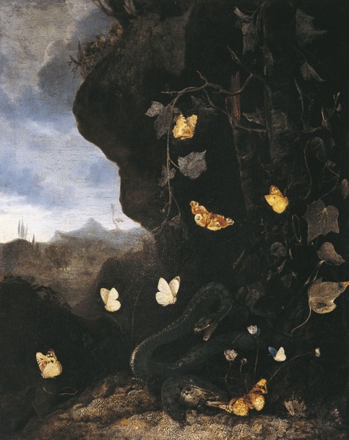 leserpente:Otto Marseus van SchrieckSnakes, Toads and Butterflies, c.1639-1678.