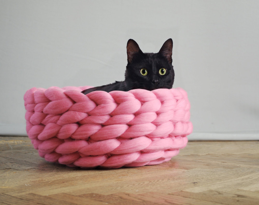 itscolossal:  New Pet-Friendly Chunky Knits by Anna Mo