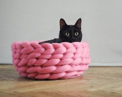 itscolossal:  New Pet-Friendly Chunky Knits