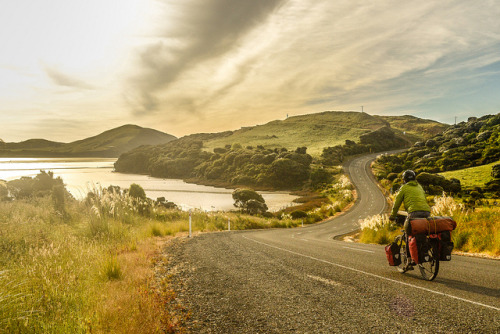 Cycling near Curio Bay, South Island, New Zealand (by worldbiking.info).