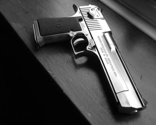 Weapons Lover