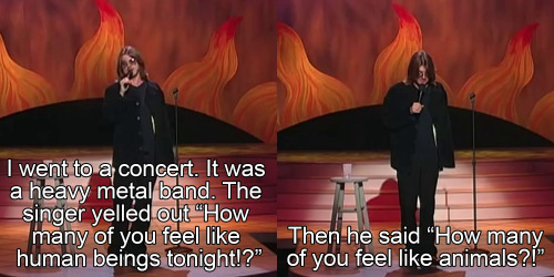 XXX freshfreshfresh23:  Mitch Hedberg photo