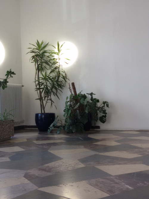 kaltgestellt:  pretty green corner at my ugly pestiferous school