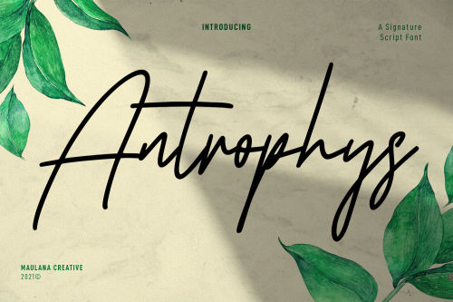 Antrophys Signature Script Font by Maulana Creative