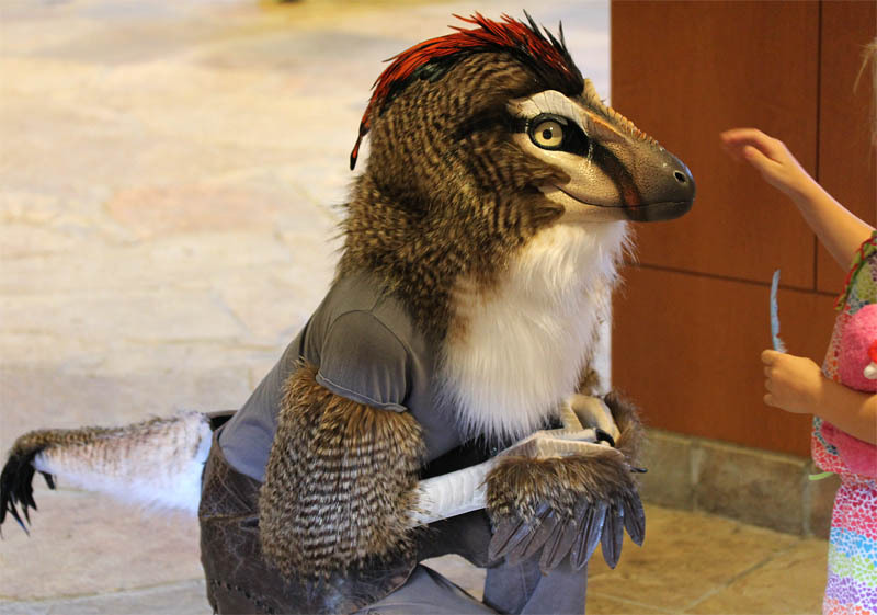 tommyoliverblogs:  paleofeathers:  Jennifer Miller’s Kinglet Raptor, I’m in love. 