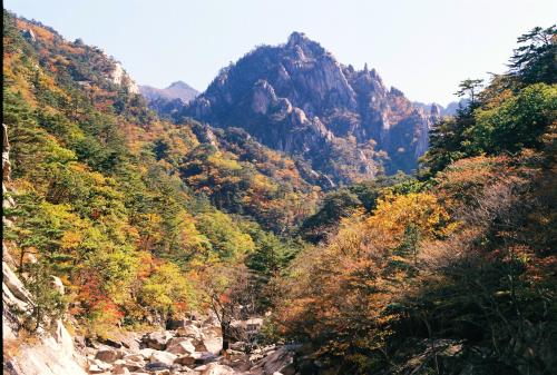 earthpicsphotography:  Cheonbuldong valley in fall, Seoraksan, South Korea  Source: https://imgur.com/MYzKRqj 