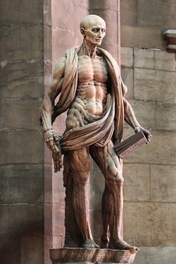 sixpenceee:  Statue of Saint Bartholomew,