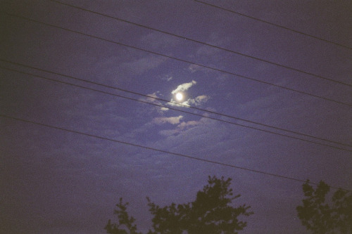 Sex unterihremkissen:  moonlight. (by Petrana pictures