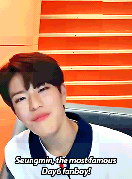 Countdown To Seungmin's BirthdayD-6: Fanboy.
