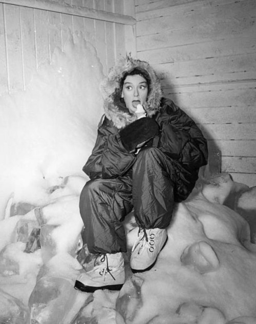 Rosalind Russell Propaganda Like Roz Is Gorgeous, Funny, Quick, She Doesn't Take Herself Too Seriously