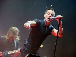 backseatmarinade:  The Killers May 1, 2013