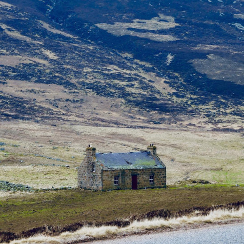 infected:   Cairngorms, Scotland by global_worker_aus porn pictures