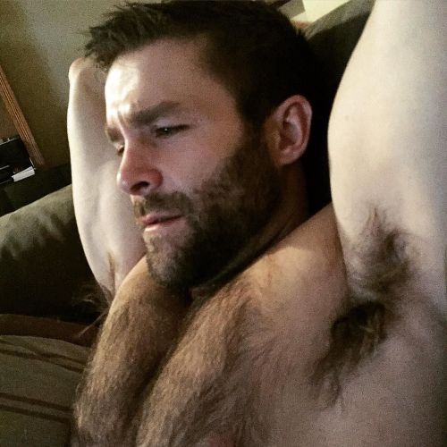FurFinder