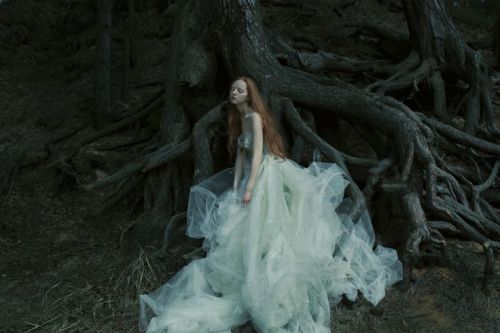 the wanton woods
