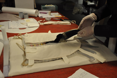 How to Pack Your Toucan!  (Part 2) After placing the toucan apron on its pillow, Associate Conservat