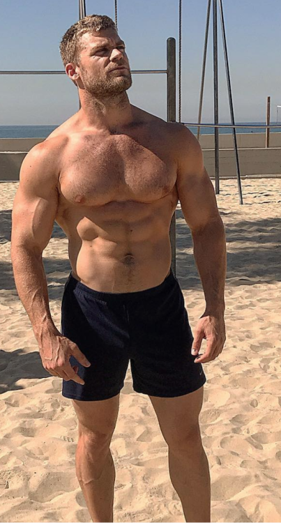 Muscles And Bodybuilding