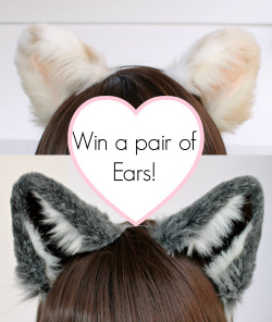 kittensplaypenshop:  kittensplaypenshop:  Win a pair of our new ears! They are already made and ready to go! We will select a winner randomly on Tumblr and Facebook.  All you have to do is Reblog this post. No following required! :3 Contest will end