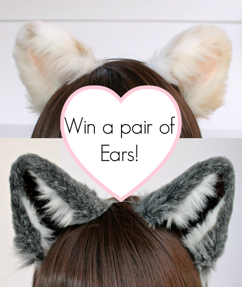 kittensplaypenshop: Win a pair of our new ears! They are already made and ready to go! We will selec