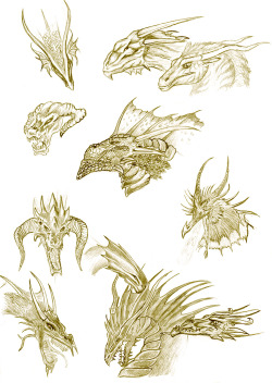 fucktonofanatomyreferences:  A relatively adequate fuck-ton of dragon references. (This contains several types of dragons; this is mainly for inspiration in recognizing the flexibility with creating dragons.)[Note that there are GIFs in this image set;