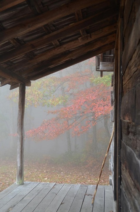 lifeoutdoorspoliticsandwhiskey:  I love the Smokies.