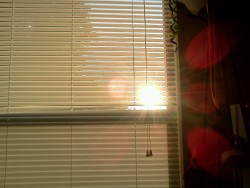 Good morning. I slept in and got to enjoy this lovely sunrise with my coffee