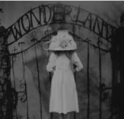 Disney-In-The-Dark:  ~Welcome To Wonderland My Darlings~