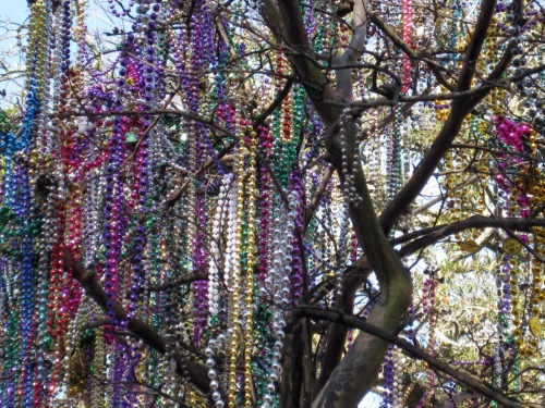 takadayusuke:  New Orleans Mardi Gras