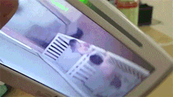 sizvideos:  When mommy talks through the baby monitor Video 