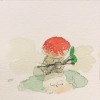 studio-thomas-walsh:A little mushroom finds a puddle