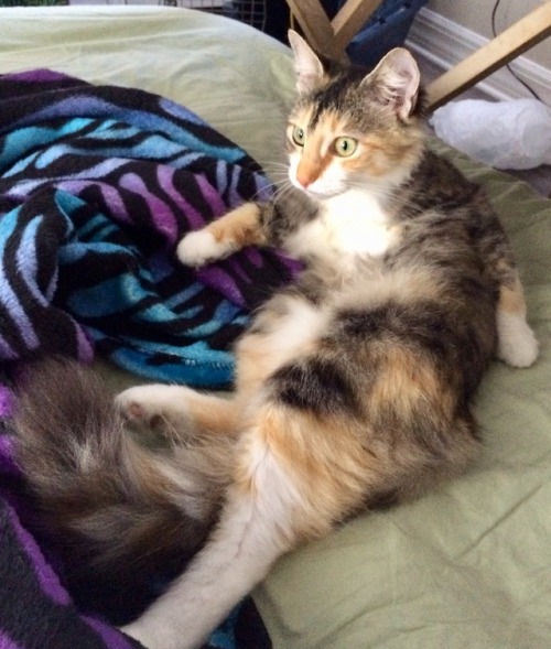 update pics of my baby i love her soooooo!!!!! much