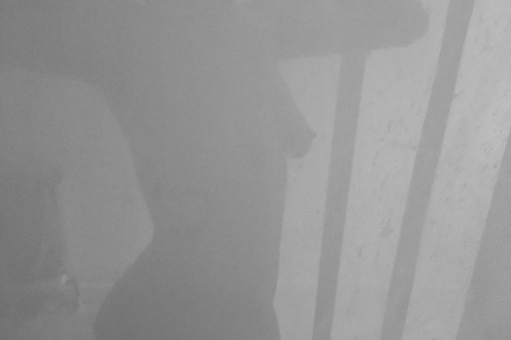 :reflection 