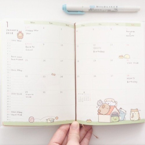 January monthly planner overview!