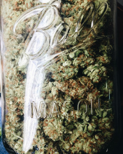 nothingbutbud:  psychonilez:  http://goodmarijuanaseeds.nl/free-stuff