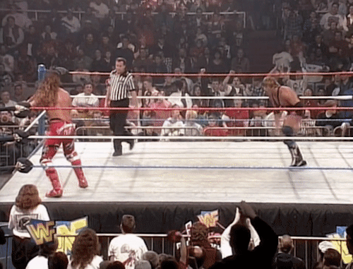Shawn Michaels vs. Owen HartWWF In Your HouseFebruary 18, 1996