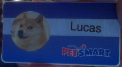 jonnovstheinternet:  &ldquo;I work at PetSmart and they wanted us to put a pet on our nametag, but they don’t have to be your actual pet.&rdquo; [via] 
