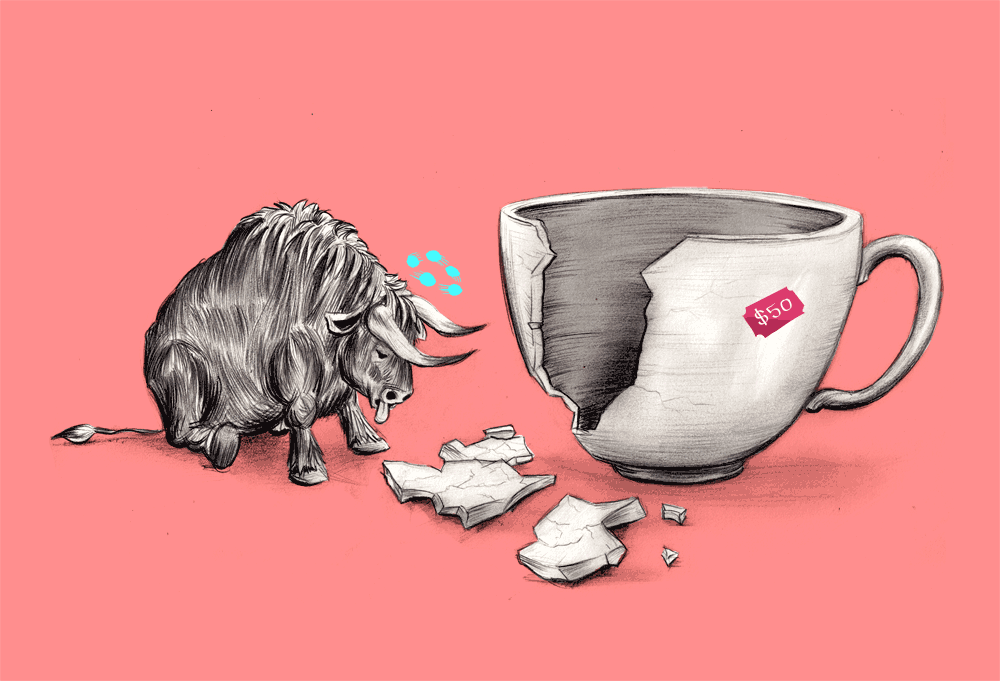 Adam Van Winden — 🐮☕️ miniature bull in a china shop