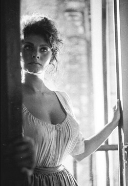 rrrick:  Sophia Loren 