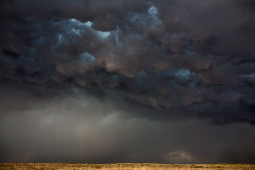 ted:  Photos from a real-life storm chaser: adult photos