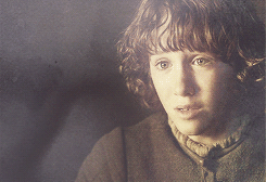 aryastarks:  Winter is coming, warned the Stark words, and truly it had come for